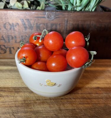 Small Bowl Chick - Cream